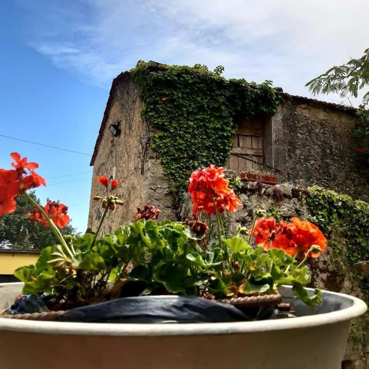 Affittacamere Varone Montaquila Dış mekan fotoğraf